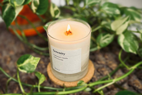 candle-2024-1_480x.jpg?v=